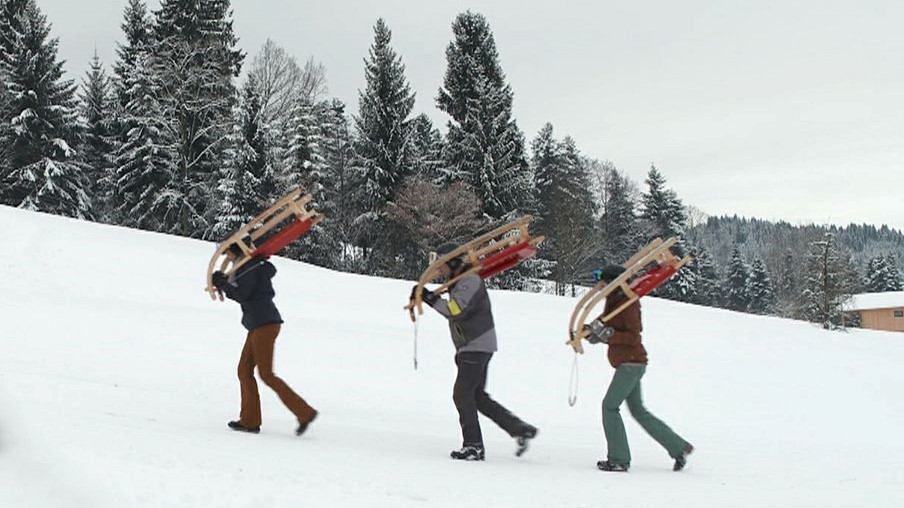 ländlerodel im winter sportrodel und freizeitrodel kaufen